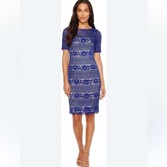 Adrianna Papell Dresses & Skirts - NWOT Adrianna Papell Corded Stripe Lace Sheath Dress in a royal blue 4P